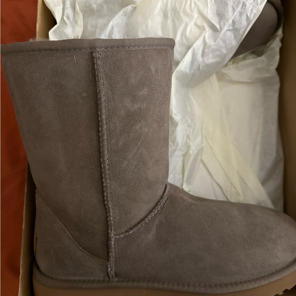 Ugg Suede Boots